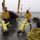Illustration for article titled Canada Building Robots to Track Whales